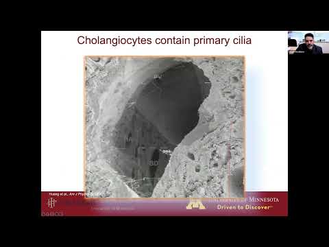 YW ep. 20 - "The Cholangiocyte Primary Cilium in Health And Disease" - Dr. Sergio Gradilone