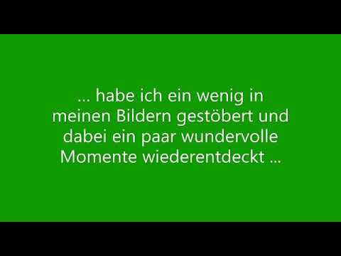 Unser Geisterleben👻 Ingelumer Rotwoigeister