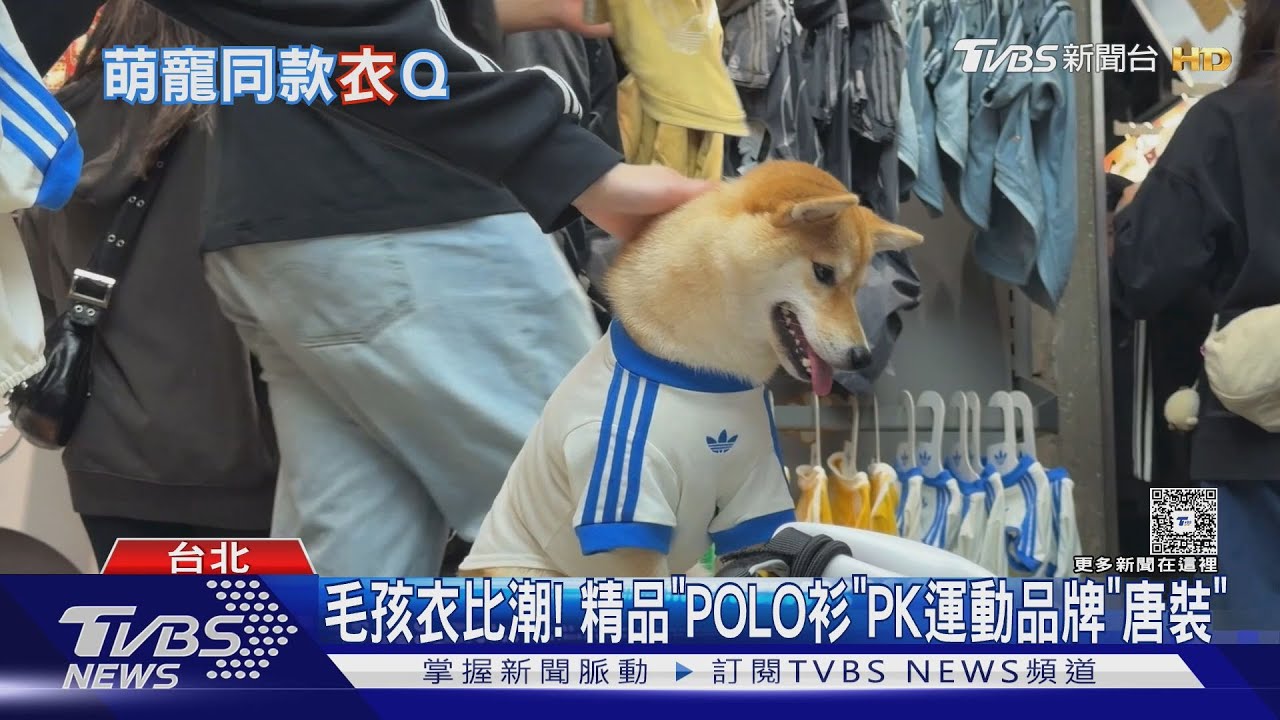比潮!愛迪達寵物裝「這門市」限定 毛孩搶穿POLO、GAP
