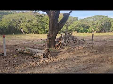 Imagen de Venta de Lotes y Terrenos en Sardinal - Carrillo Sardinal - GUANACASTE