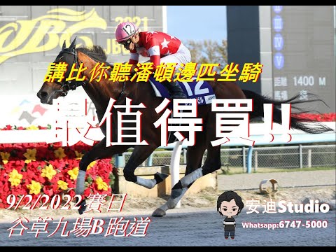 9/2/2022谷草九場B跑道.講比你聽潘頓邊匹坐騎最值得買.