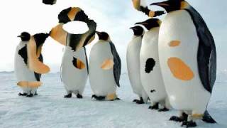 Penguins!: A Look at Our Feathered Friends