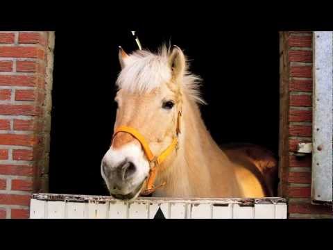 Babba... A Small Memory