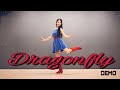 Dragonfly Linedance By Sue Demo 신나는 음악에 기본스텝 연습하기 좋은 재미있는 �