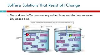 14.10 Buffers: Solutions That Resist pH Change