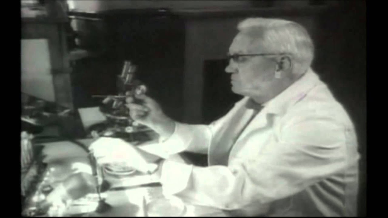 iBahia Educação - História - Descoberta da Penicilina