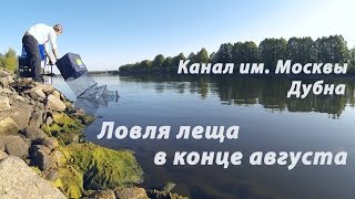На что ловить леща в конце августа