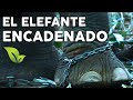 EL ELEFANTE ENCADENADO - Cuento - Jorge ...