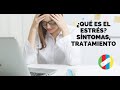 ¿Qué es el Estrés? Síntomas y Tratamiento