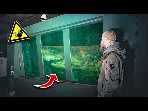 TIERE ZURÜCK GELASSEN! GEISTER AQUARIUM BEI NACHT ERKUNDET!