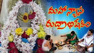 Mahanyasa Rudrabhishekam  మహాన్యాస