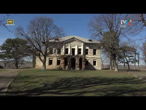 CONACUL ELENEI CUZA, AGONIA UNUI SIMBOL