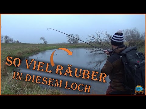 SO VIEL Räuber in diesem LOCH !!! / Einfach Wahnsinn
