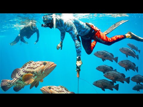 HUGE Grouper EVERYWHERE! Deep PRIMAL Spearfishing! Bahama REEF!