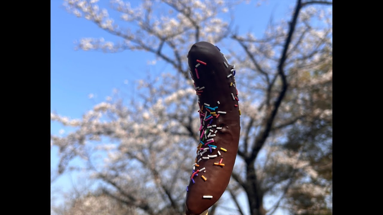 ちょっとだけ！💗生命の咆哮、6万再生突破！新記録✨