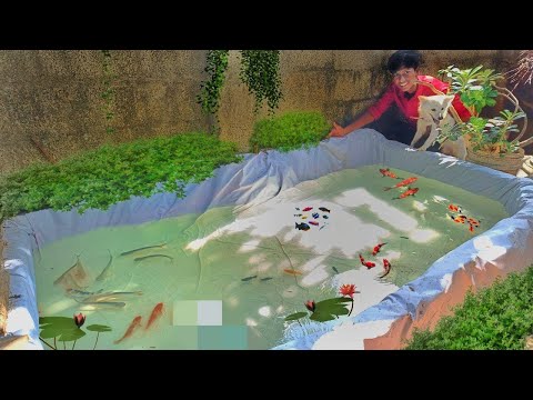 We Made a New Pond for Shark & Koi! 🦈😍 Transferring Them Was CRAZY!/JENISH KJ