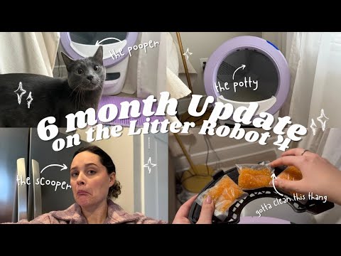 Litter Robot 4 Review: 6 Months Later – Is It Worth It?