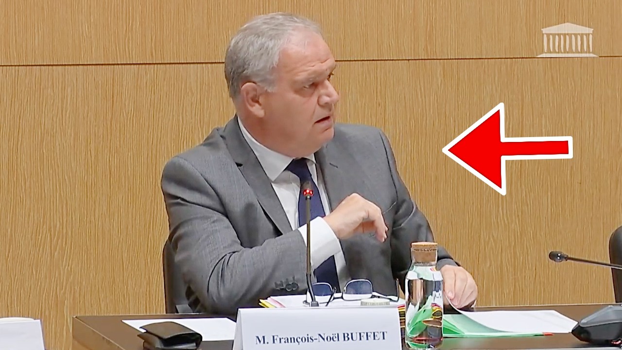 Illustration: Buffet au Défenseur des droits : les députés dénoncent « une provocation » du chef de l'État