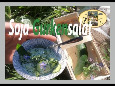Soja Gurkensalat Vegan und Lecker