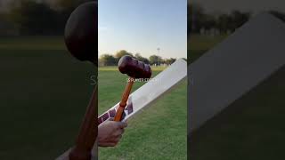 SS Player Edition English Willow Bat | Cricket | Cricket Bat | Player Edition #englishwillow