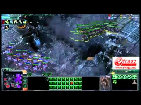 eFragz LAN #33 StarCraft II Finals