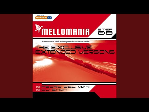 Seagulls (PDM's Intro Rework)