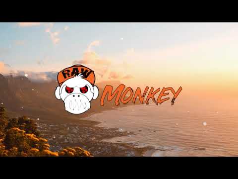 Distorted Frequencies - Ready 2 Die (Inpherior Remix) (XTRA RAW) [MONKEY TEMPO]