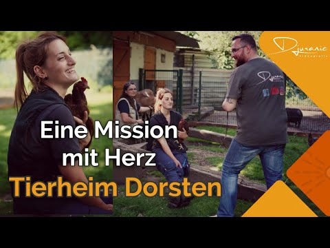 Eine Mission mit Herz | Tiere suchen ein neues Zuhause | Tierheim Dorsten (Doku Deutsch)