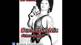 DJ Elmo Dancehall Mix February 2015