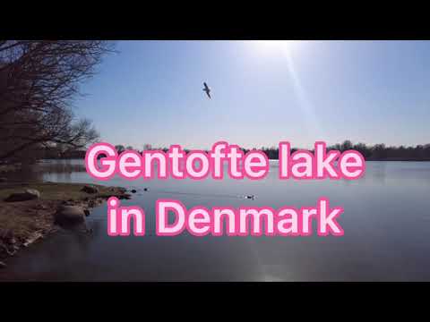 Denmark 🇩🇰 Gentofte Lake beautiful,  cozy place to relax and to enjoy