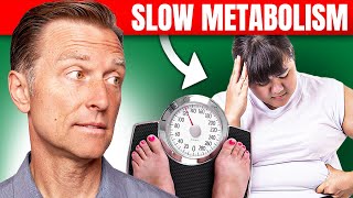 How to Fix a Slow Metabolism: MUST WATCH! – Dr.Berg
