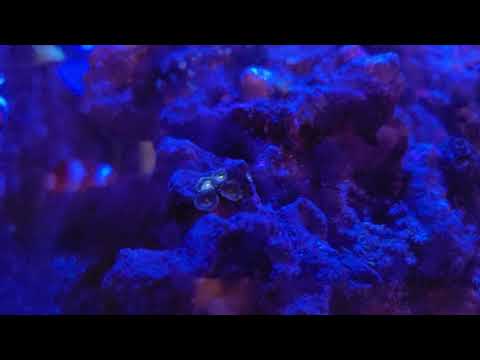 Moje akwarium- update