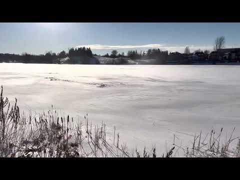 Professor Lake , Brampton, Canada