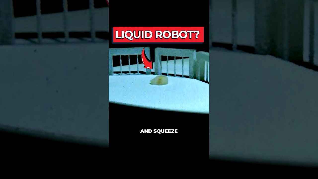 Scientists Create Shapeshifting Liquid Robots
