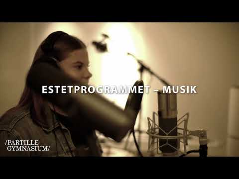 Partille Gymnasium läsåret 2019/2020 (30 s)