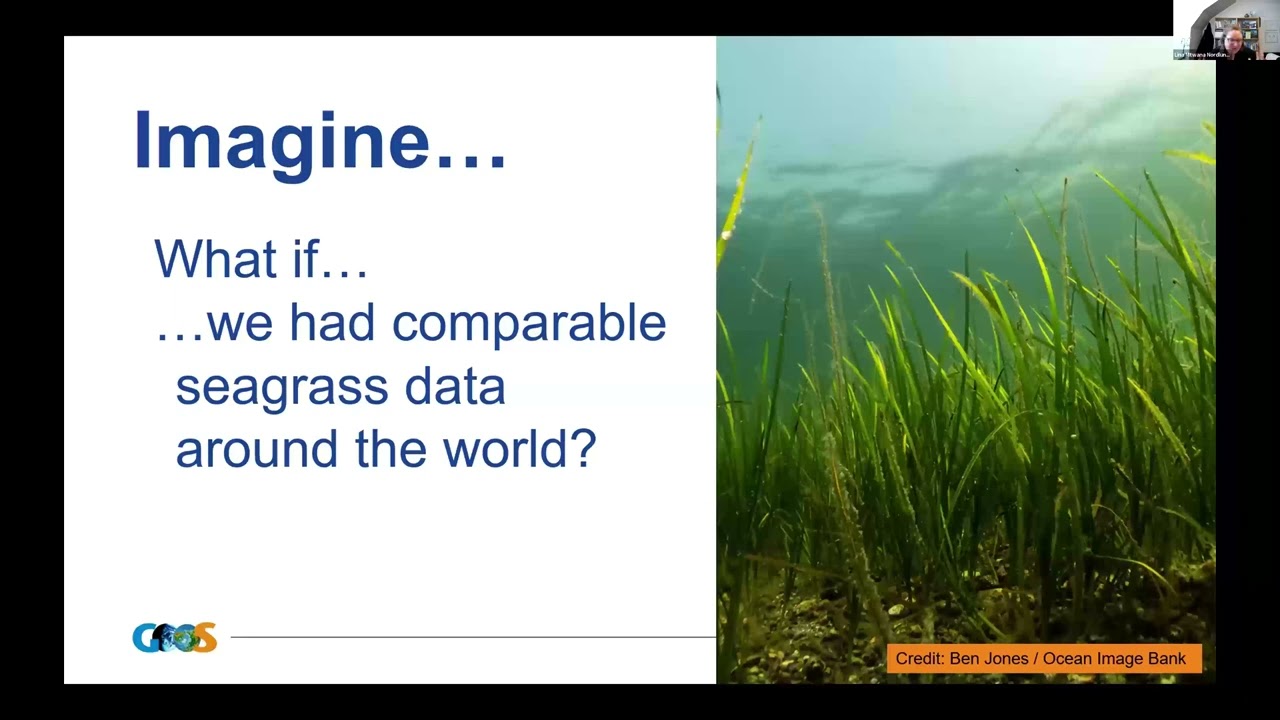 Seagrass Synergy: Collaborate for Global Observing and Understanding