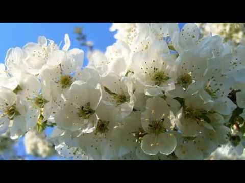 KLÍČ PRO ŠTĚSTÍ