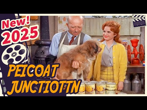 🎀Petticoat Junction💖 The Baffling Raffle 💖Classic Country Comedy at the Shady Rest | Full Series🎀