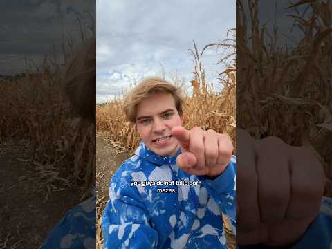 How to get out of a corn maze
