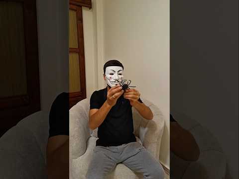 طلع معن حية وعنكبوت !