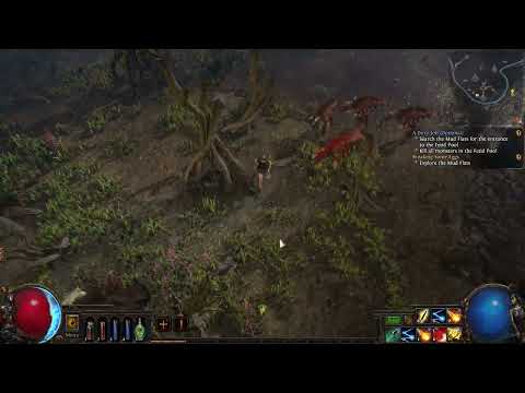 Path of Exile - Detonate Dead at level 5, my favourite at the time ;)
