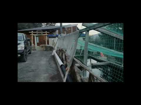 Peschiera del Mulino. Passo del Ventasso.