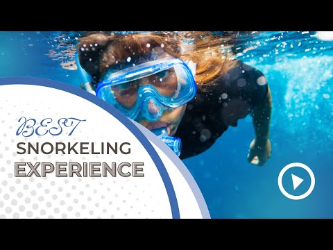 Snorkeling in Andaman