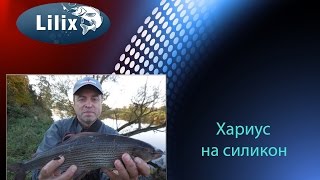 Ловля хариуса на силиконовую приманку