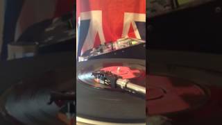 SHANDY SHAW   TELL THE BOYS