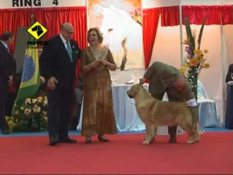 FCA Copa Confraternidad  Julio 2010 - Final Jovenes