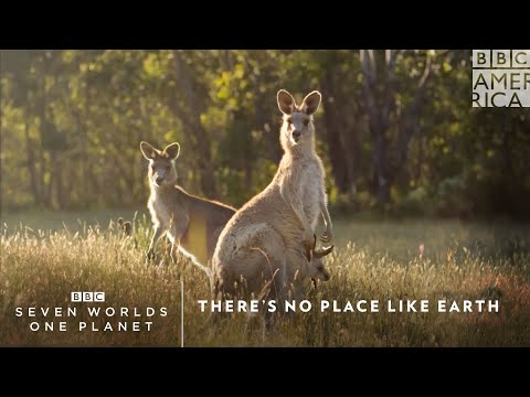 There's No Place Like Earth｜Seven Worlds One Planet 1月18日(土)プレミア放送｜BBCアメリカ (There's No Place Like Earth | Seven Worlds One Planet Premieres Saturday, January 18 | BBC America)