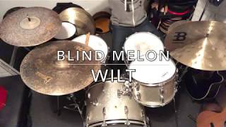 Blind Melon - Wilt (Drums-Glen Graham)