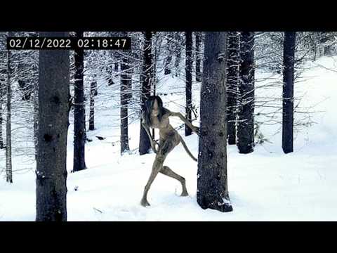 30 Most Convincing Skinwalker Encounters Caught on Camera