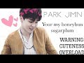 Park Jimin You Re My Honeybun Sugarplum